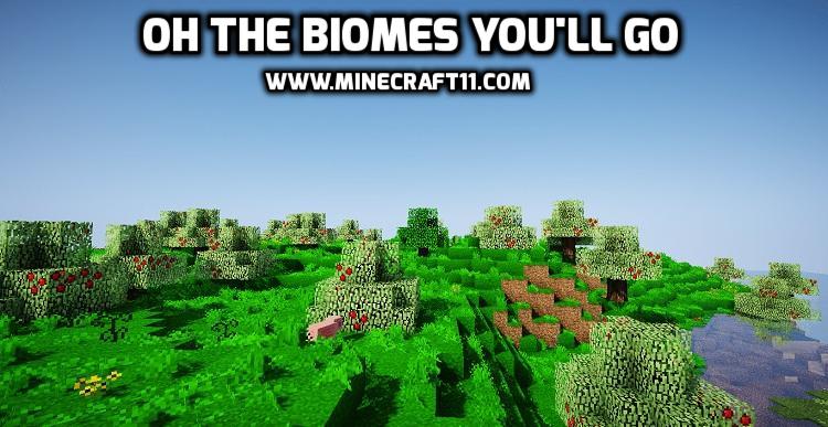 Oh The Biomes You'll Go mod