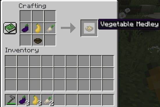 Vegetable Medley